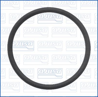 Wilmink Group WG2171895 - Inel de etansare aaoparts.ro