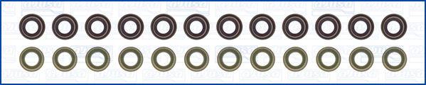 Wilmink Group WG2172697 - Set garnituri, ax supape aaoparts.ro