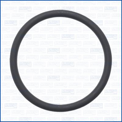 Wilmink Group WG2364789 - Inel de etansare aaoparts.ro