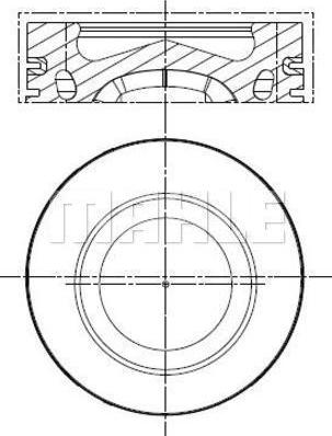 Wilmink Group WG2304468 - Piston aaoparts.ro