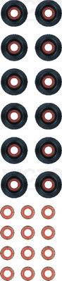 Wilmink Group WG2303331 - Set garnituri, ax supape aaoparts.ro