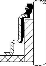 Wilmink Group WG2293177 - Etansare, supape aaoparts.ro