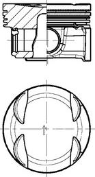 Wilmink Group WG2224534 - Piston aaoparts.ro