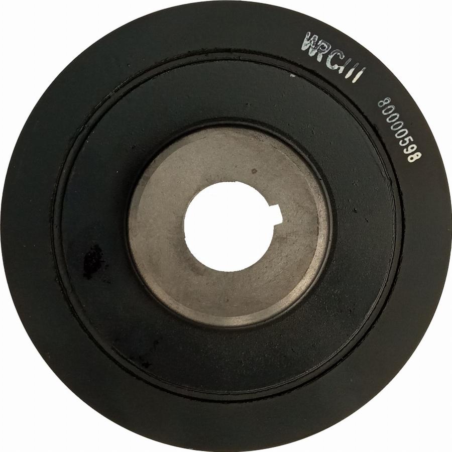 WRC 6200010 - Fulie curea, arbore cotit aaoparts.ro