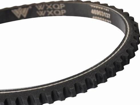 WXQP 10699 - Curea transmisie aaoparts.ro