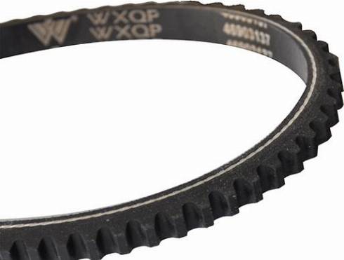 WXQP 10750 - Curea transmisie aaoparts.ro