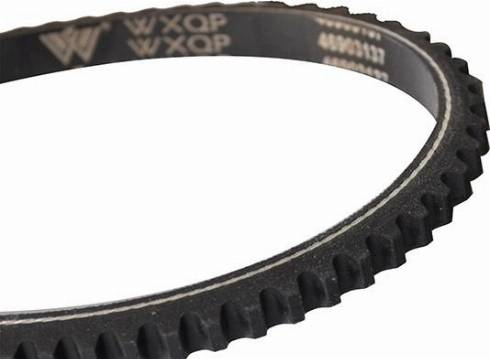 WXQP 10703 - Curea transmisie aaoparts.ro