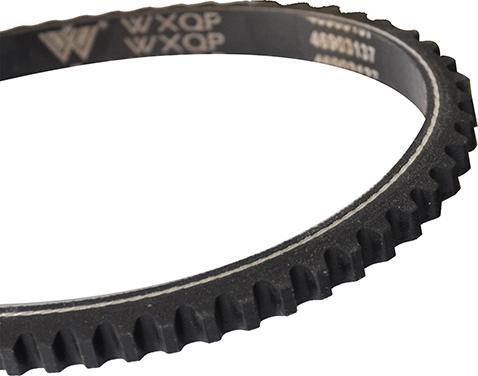 WXQP 10733 - Curea transmisie aaoparts.ro