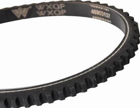 WXQP 10723 - Curea transmisie aaoparts.ro