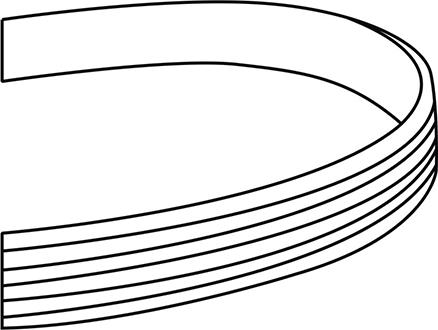 WXQP 311119 - Curea transmisie cu caneluri aaoparts.ro