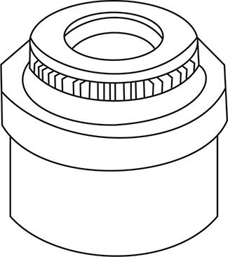 WXQP 313039 - Etansare, supape aaoparts.ro