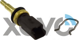 XEVO XTS8197 - Senzor,temperatura lichid de racire aaoparts.ro