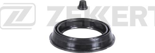 Zekkert BR-1242 - Set reparatie, etrier aaoparts.ro