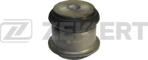 Zekkert GM-5013 - Suport, ax aaoparts.ro