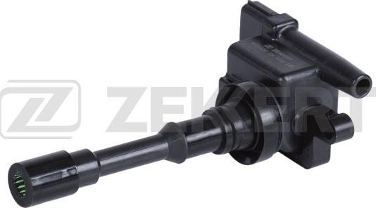 Zekkert ZS-1038 - Bobina de inductie aaoparts.ro