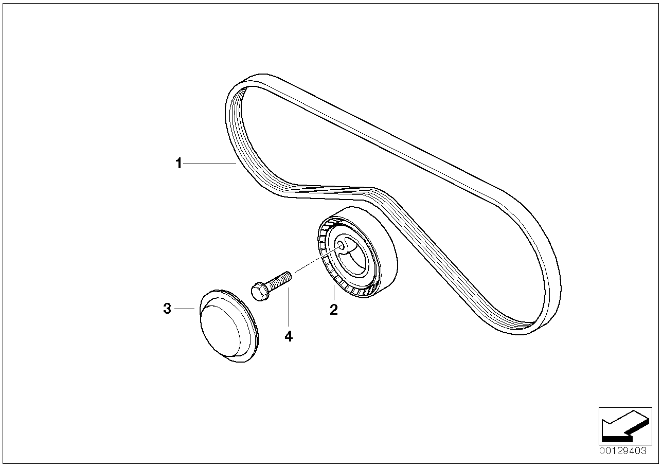 Mini 64 55 1 727 378 - Curea transmisie cu caneluri aaoparts.ro