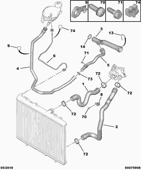 DS 1351 QS - Furtun radiator aaoparts.ro