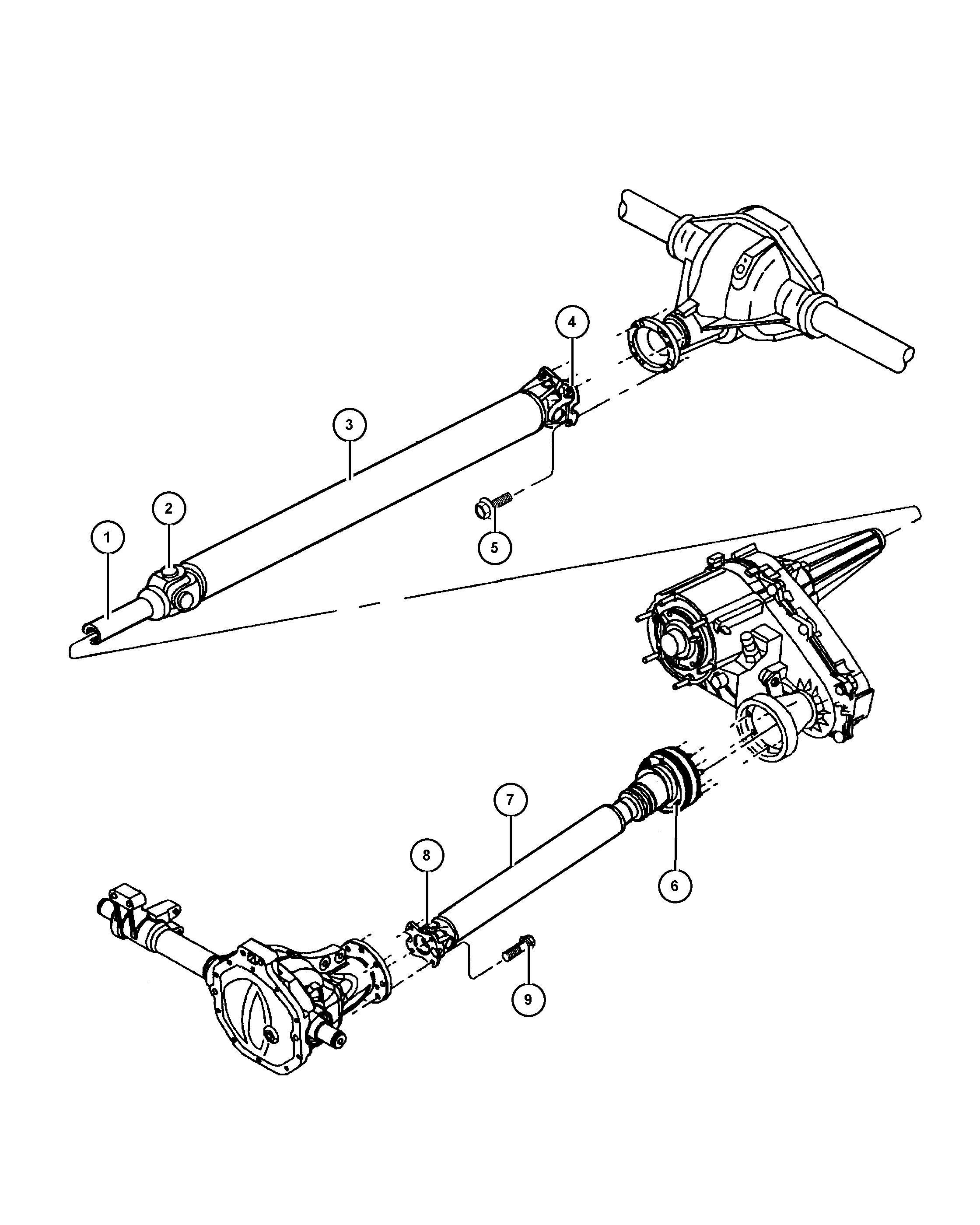 Jeep 488 2793 - Articulatie, cardan aaoparts.ro