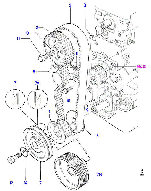 FORD 6 711 046 - Curea de distributie aaoparts.ro