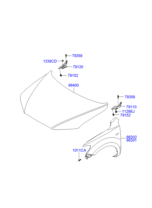 KIA-HYUNDAI 66310-2B270 - Aripa aaoparts.ro
