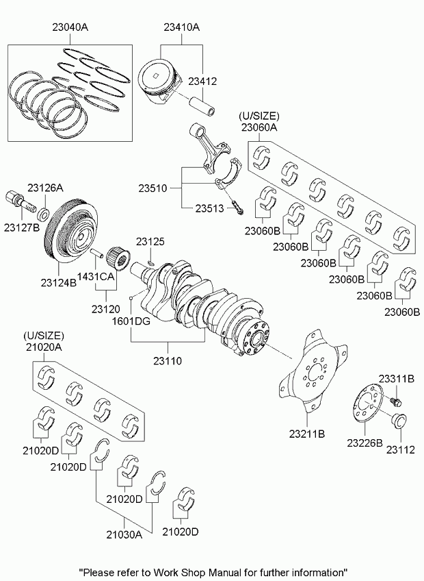 Hyundai 23110-3E101 - Set curea transmisie cu caneluri aaoparts.ro