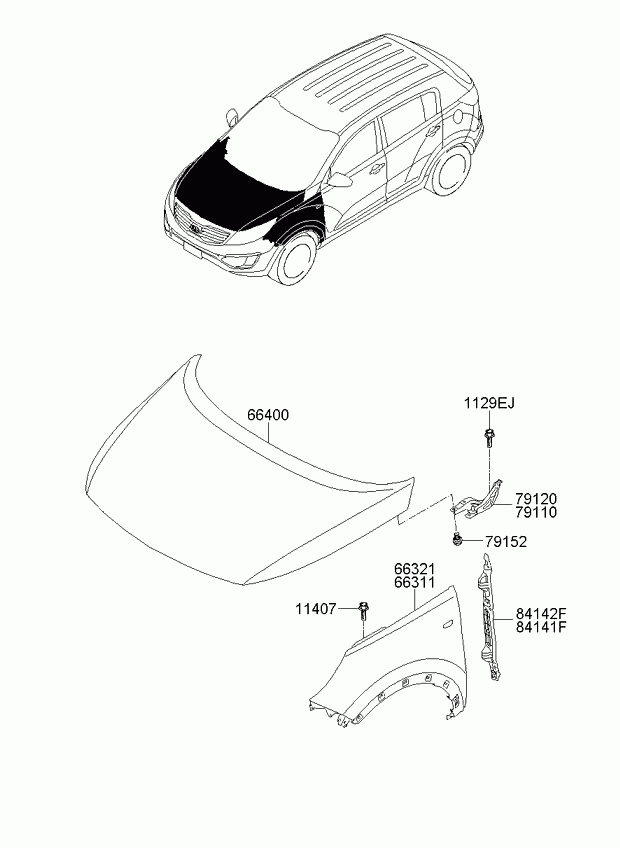 KIA 66311-3W000 - Aripa aaoparts.ro