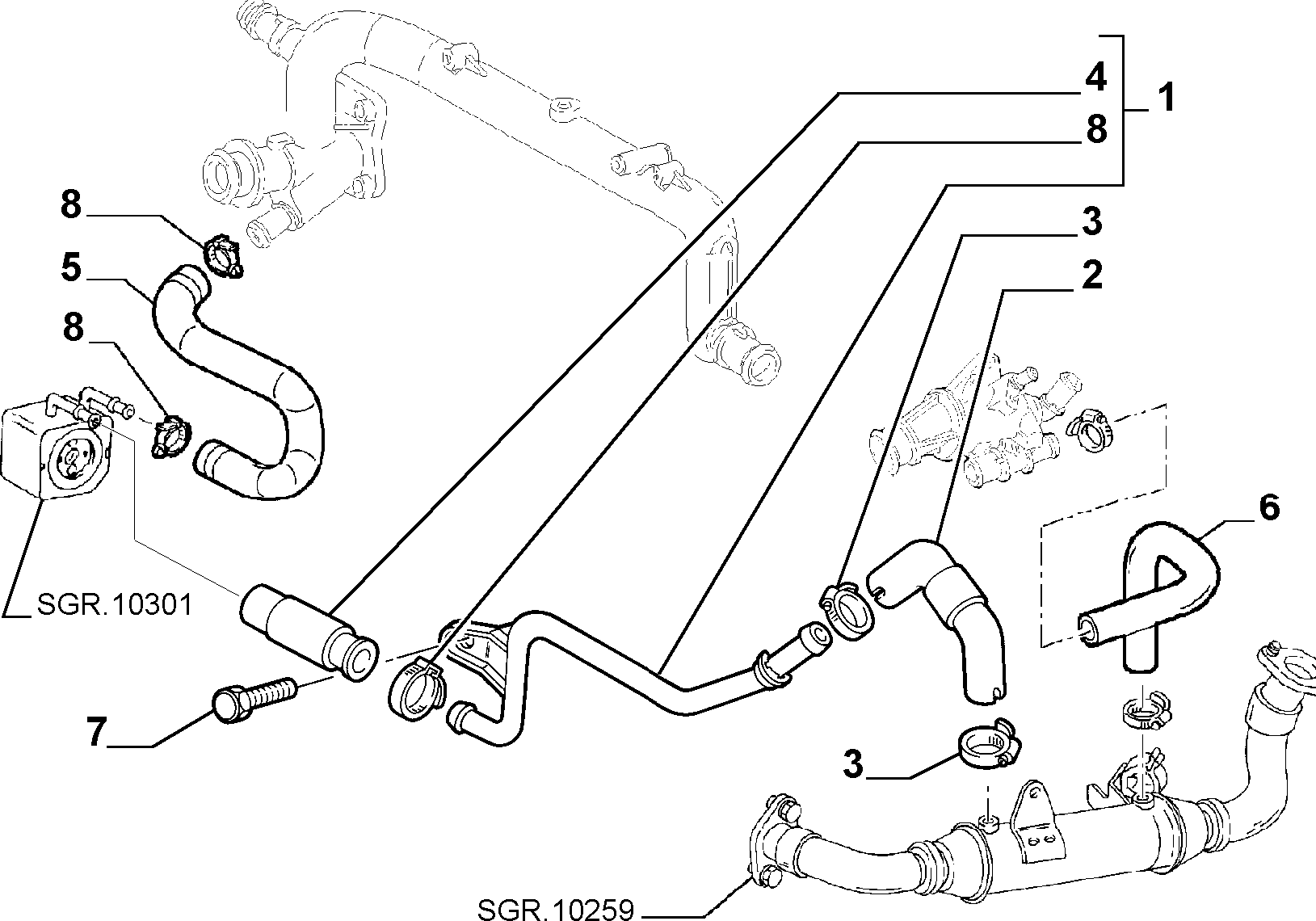 FCA 46761247 - Furtun radiator aaoparts.ro