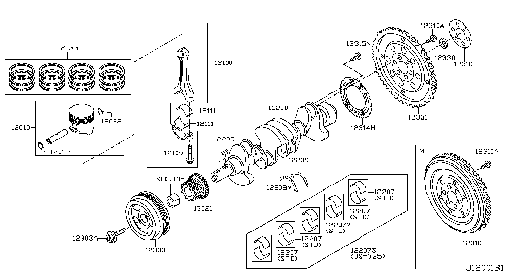 NISSAN 13021-6N20A - Chit lant de distributie aaoparts.ro