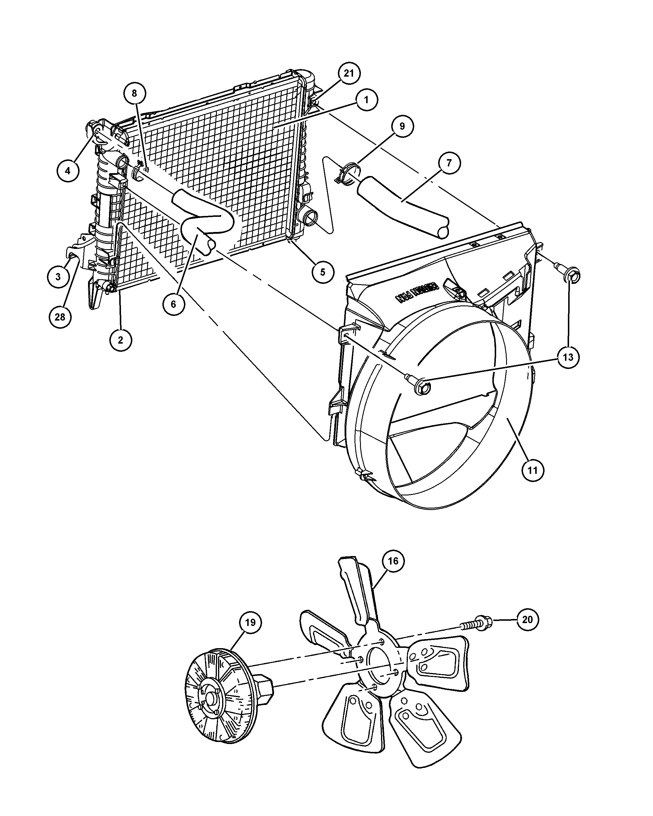 Dodge 52028 870AD - HOSE RADIATOR aaoparts.ro