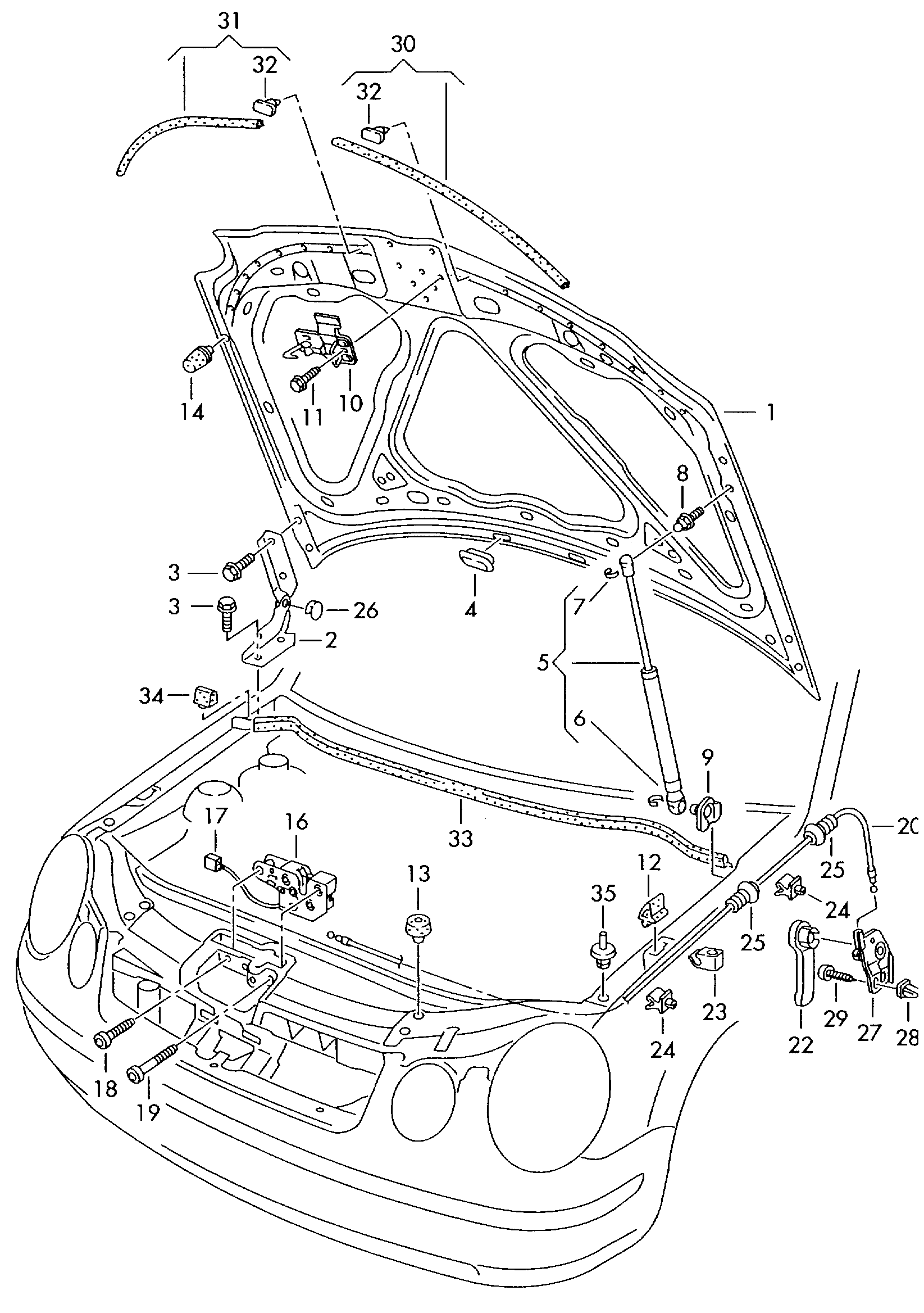 VAG 6Q0823031J - Capota motor aaoparts.ro